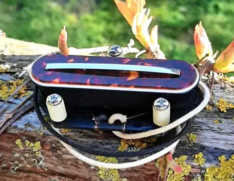 CC Tele Bridge
